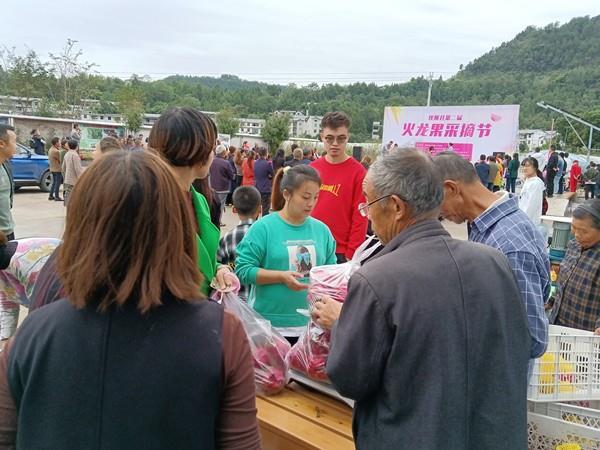 四川火龙果基地隆重举行火龙果采摘节